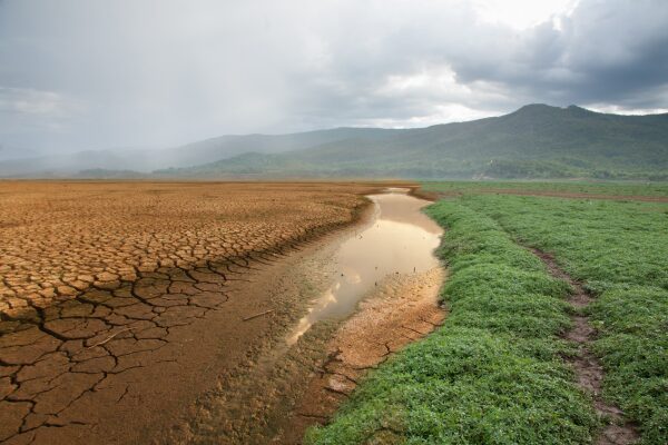 climate change